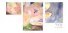 lofleursimpletotale_thumb.jpg 1.7K